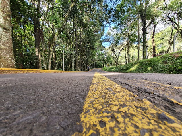 caminhada-trilha-cor-da-natureza-estilo-de-rua