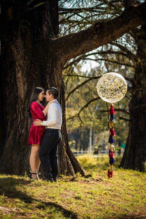 Foto d'estoc gratuïta de amor, amors, arbres forestals