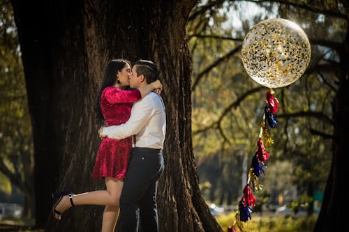 Immagine gratuita di alberi grandi, amore, baciando