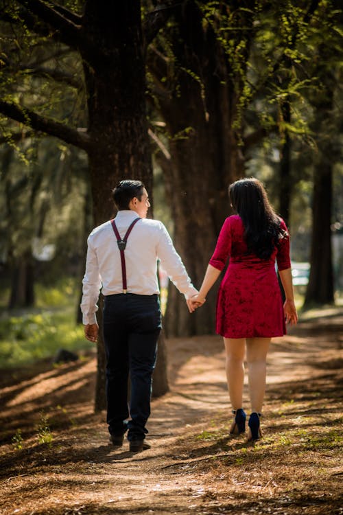 Immagine gratuita di alberi grandi, amore, bella coppia