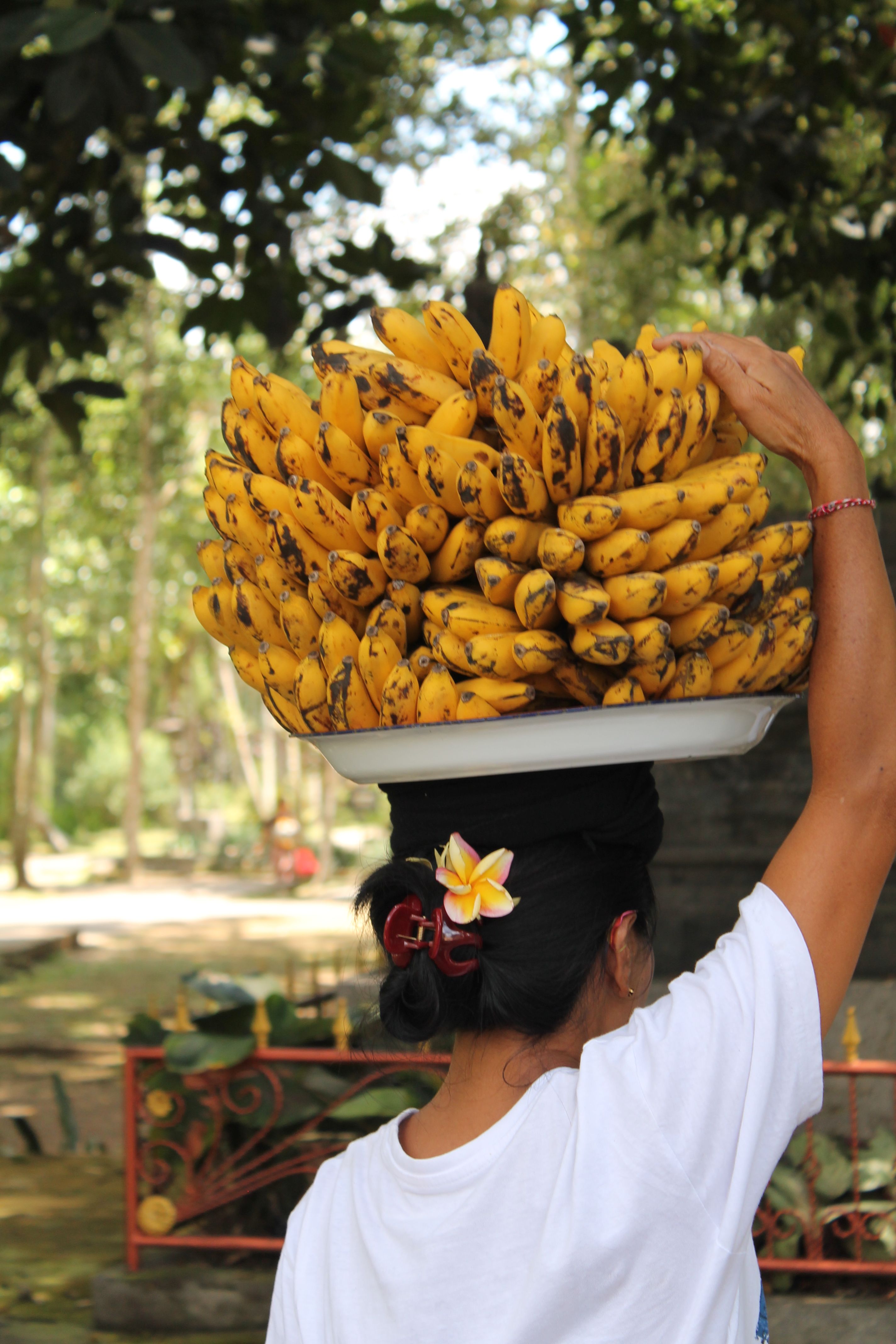 A woman balances a large tray of bananas on her head outdoors.