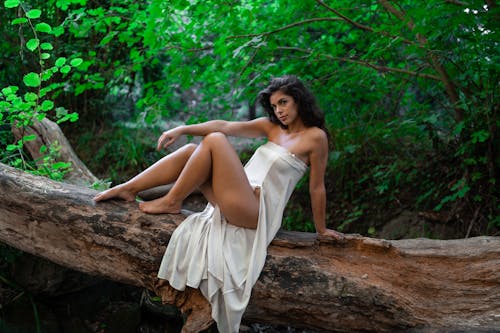 Free Side view of seductive dark haired female in airy dress resting on fallen tree and looking at camera Stock Photo