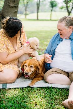 两个成年人带着金毛猎犬在阳光明媚的公园里享受一天，捕捉幸福