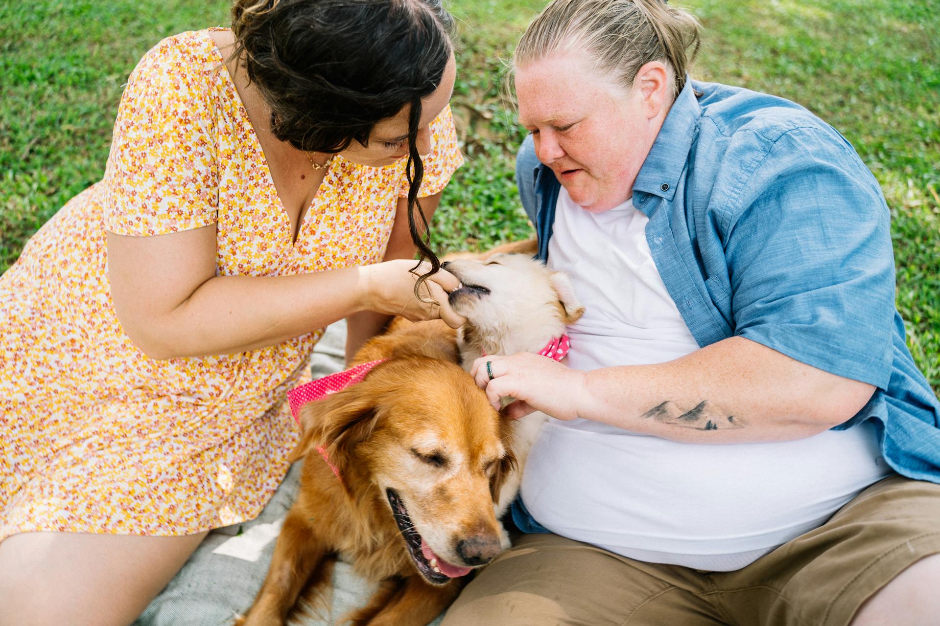 Couple Sitting on the Grass with their Dogs