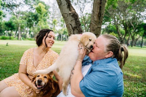 Free Couple with their Pet Dogs Stock Photo