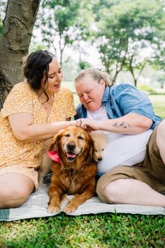 一对快乐的夫妇在阳光明媚的日子里，带着他们的金毛猎犬在公园里享受时光