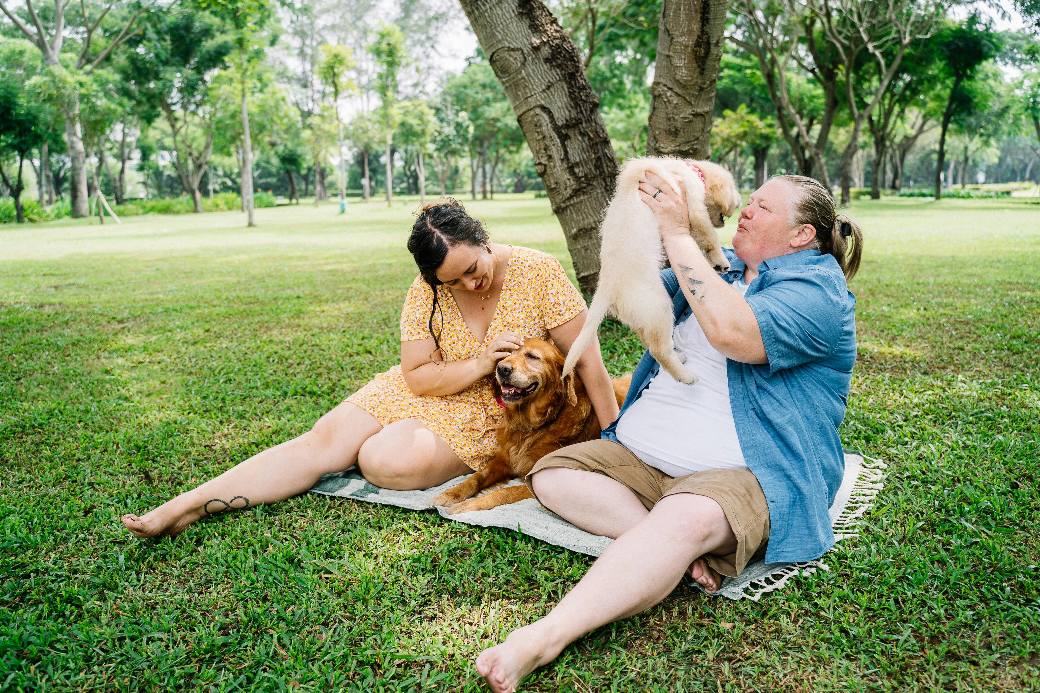 一对幸福的夫妇带着他们的两只狗在阳光明媚的公园里享受悠闲时光，尽显爱与惬意