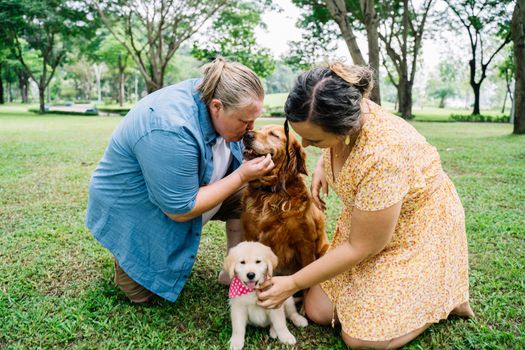 幸福的情侣在郁郁葱葱的公园里与金毛猎犬建立了亲密的关系