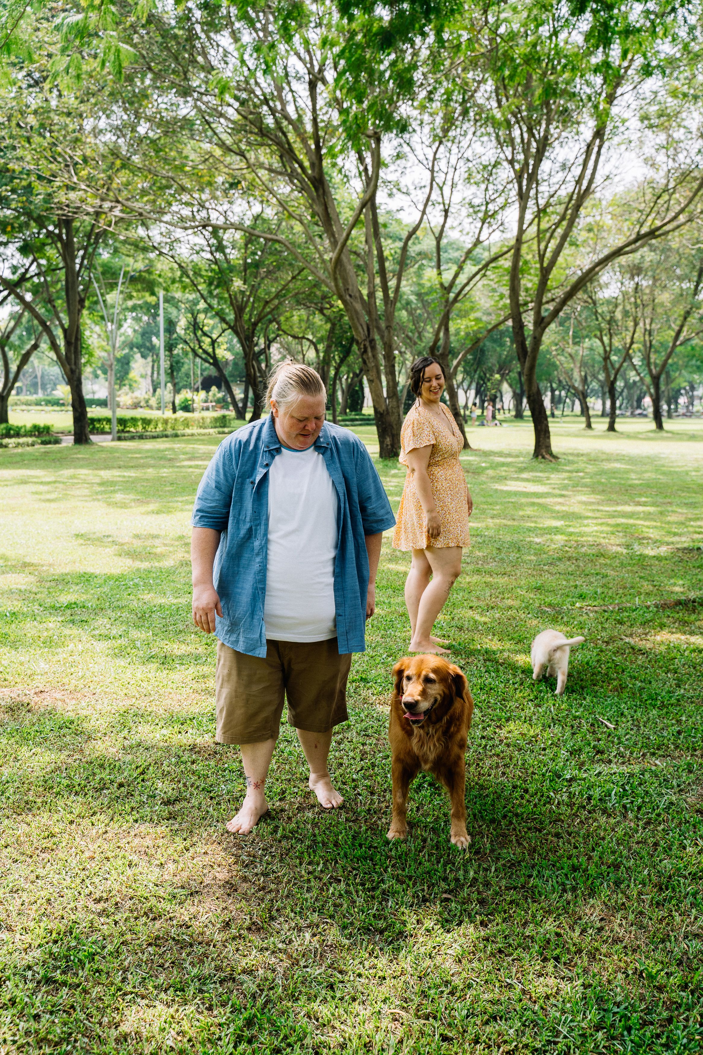 两个成年人和一只金毛猎犬、一只小狗在阳光明媚的公园里享受美好的一天