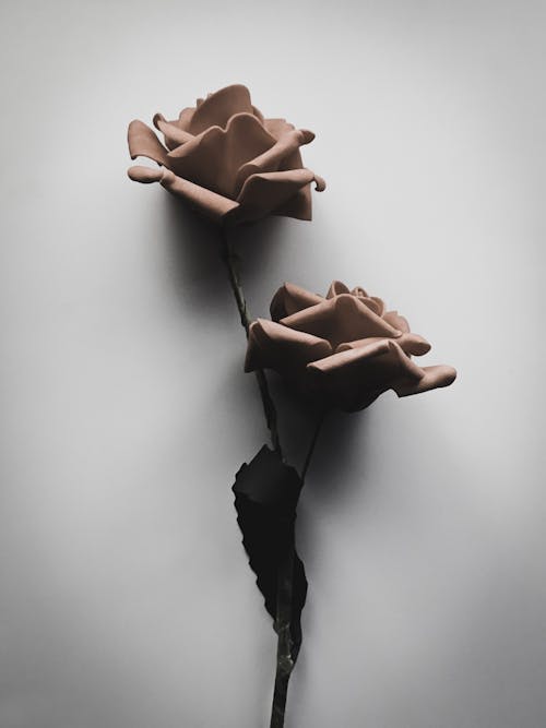 Two Roses Made From Clay