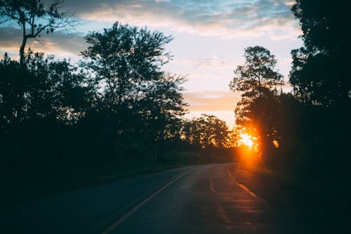 Free Curved Road With Trees during Sunset Stock Photo
