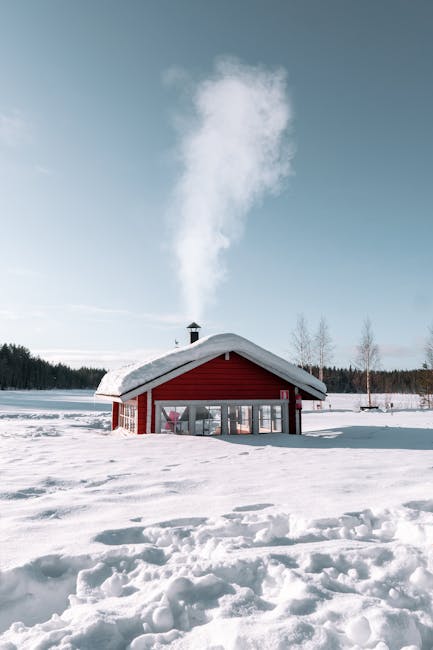 Lonely house covered with snow located in snowy terrain in sunny day in winter day