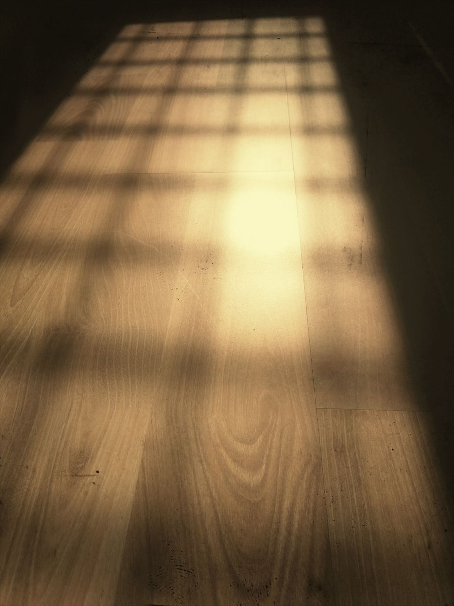 Sanding & Sealing