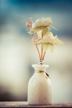 Free stock photo of flower, decoration, macro, flora