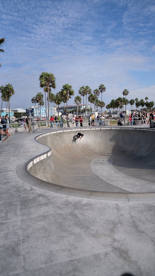 Free Anonymous skater performing stunt on asphalt pool side with people watching around in skateboard park located in downtown with palms Stock Photo