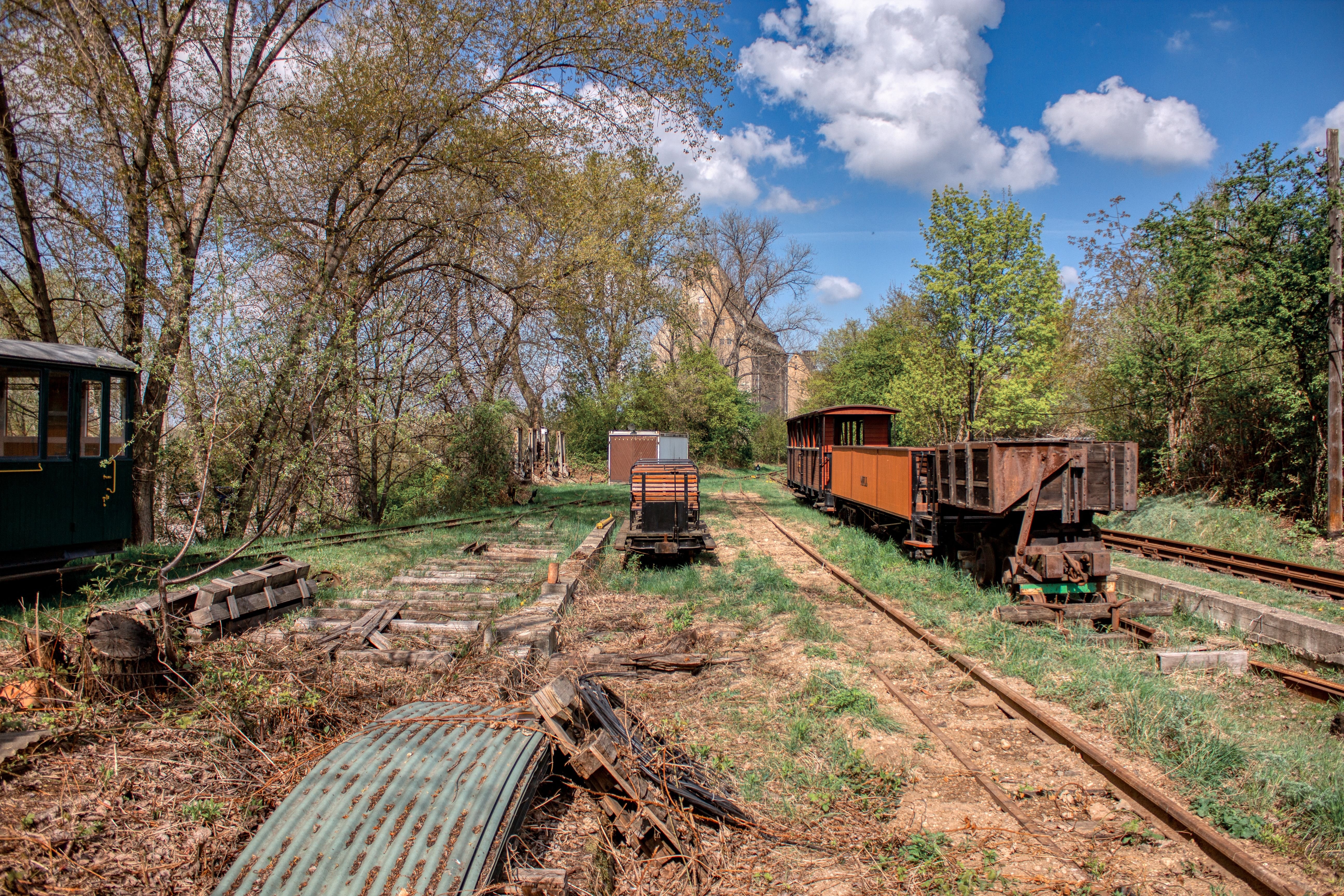 Old narrow-gauge railway tracks and wagons amidst rural greenery in Leipzig, Germany.