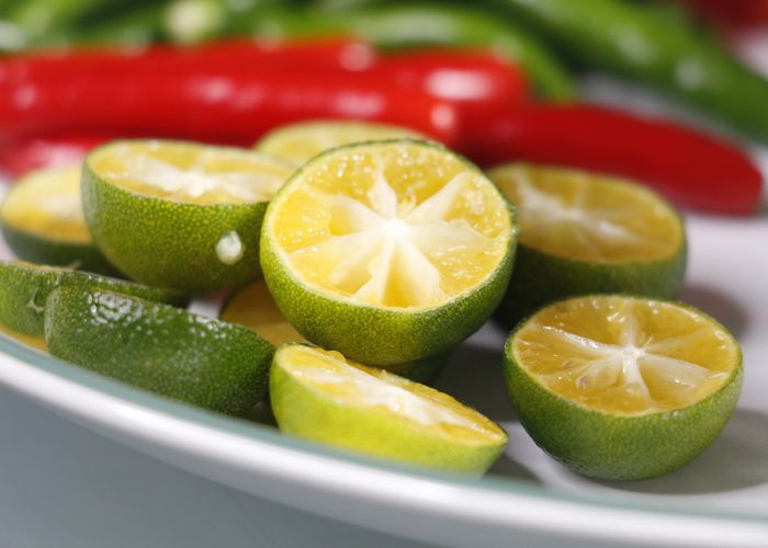Calamansi Lime - Urban Goes Green Plant Guide