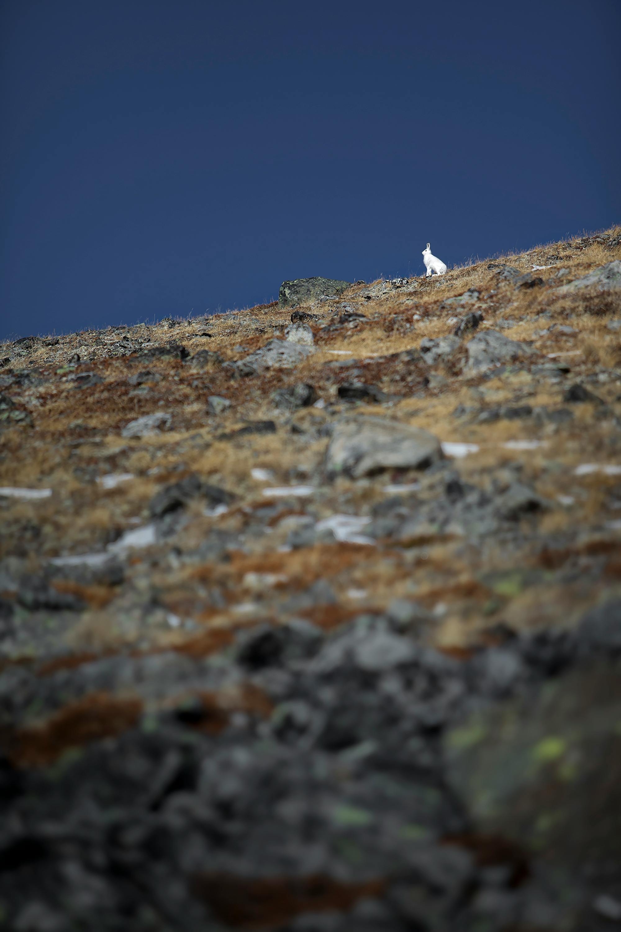 Soldier silhouette against dark sky
