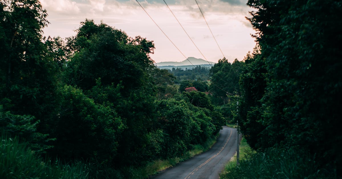 Free stock photo of downhill, forest, power lines