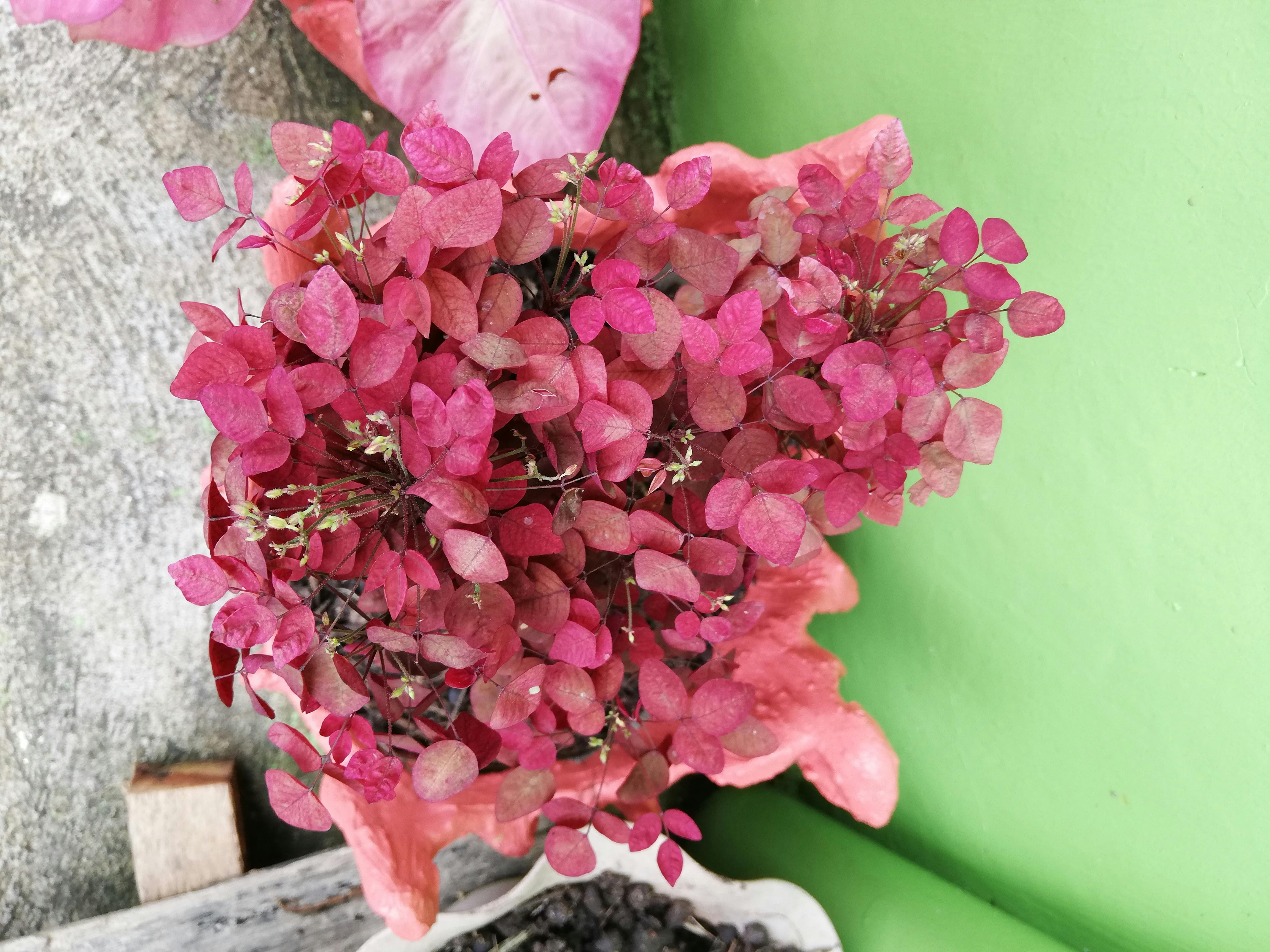 Comfort Hotel Nagoya Fushimi