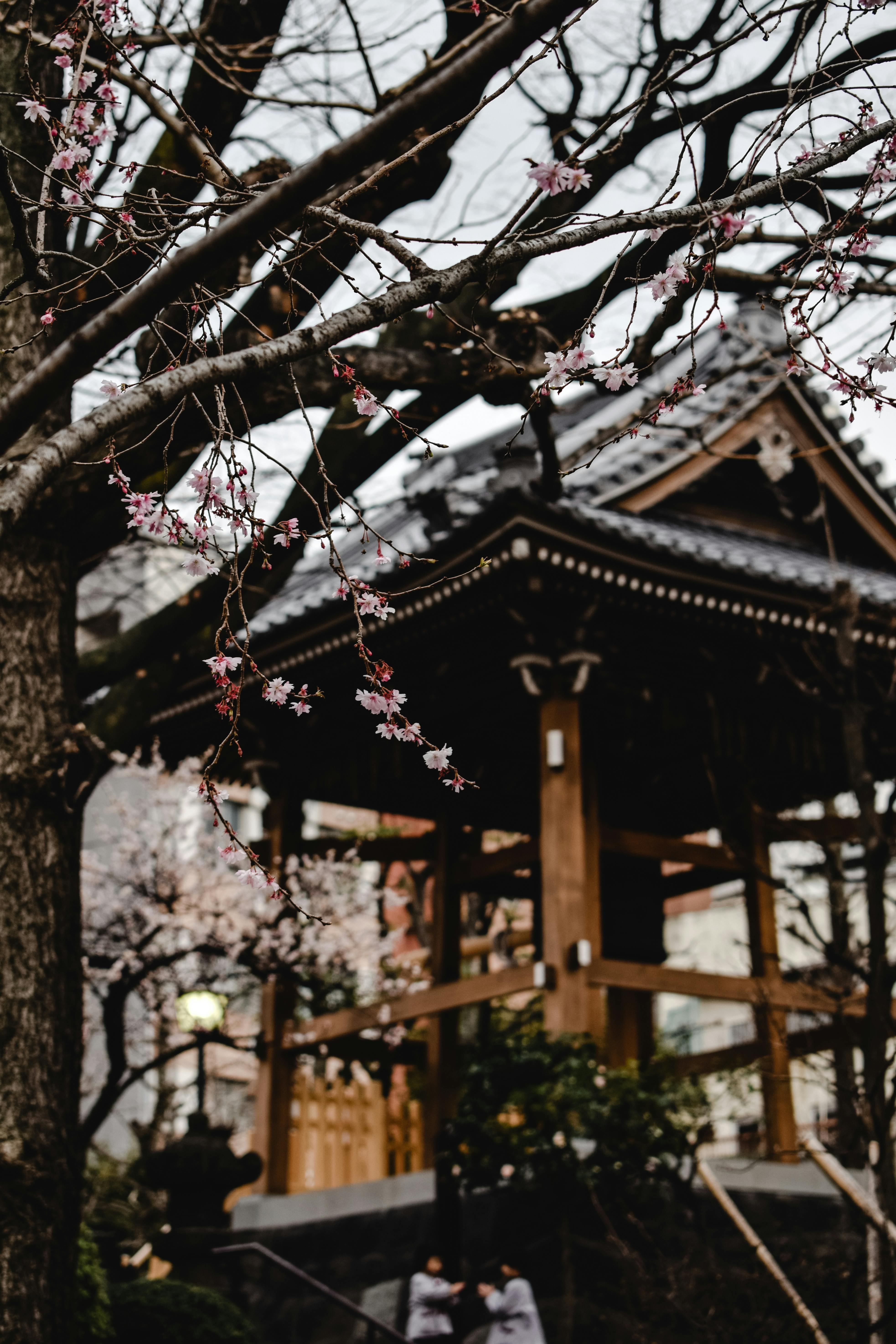 Gazebo Japan Photos, Download The BEST Free Gazebo Japan Stock Photos