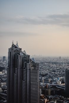 从东京新宿公园塔俯瞰，迷人的城市鸟瞰图展现了黄昏时分的城市扩张与摩天大楼