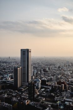 日落时分，俯瞰东京天际线，高耸的摩天大楼令人惊叹