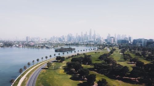 Immagine gratuita di acqua, alberi verdi, albert park