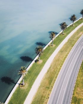 澳大利亚墨尔本一条棕榈成荫的弯曲道路，航拍视角下可见其旁清澈的水体