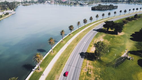 Cars on Road Near Green Trees and Body of Water