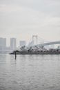 Bridge over Water Near City Buildings