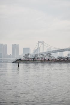 Peaceful panoramic view of Tokyo Bay featuring the Rainbow Bridge and city skyline shrouded in fog.