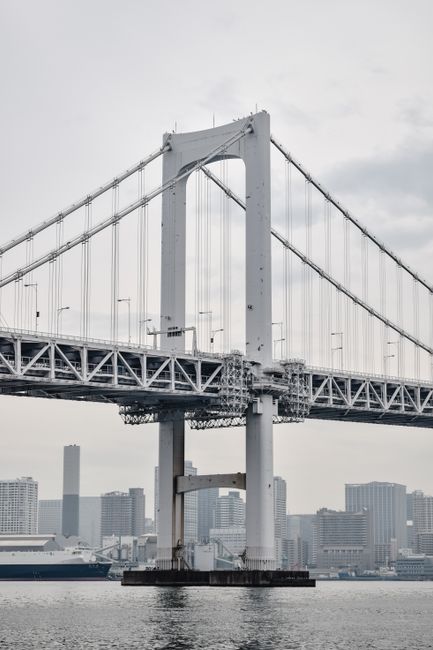 View of Tokyo's Rainbow Bridge spanning Tokyo Bay with city skyline backdrop.