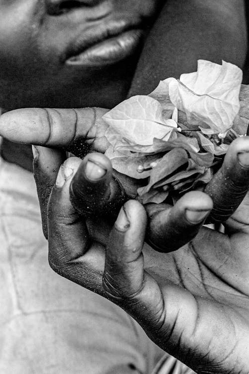 Flowers on a Person's Palm