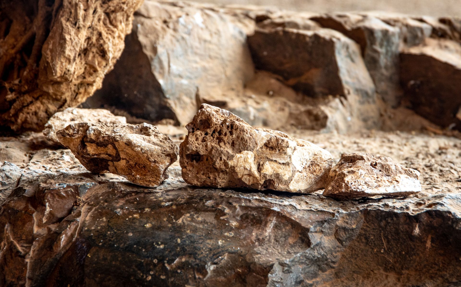 Detailed view of rugged rocks in a natural setting, showcasing texture.