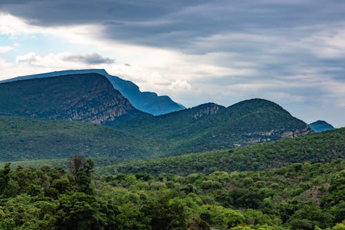 

An Aerial Shot of a Mountains Covered with Trees