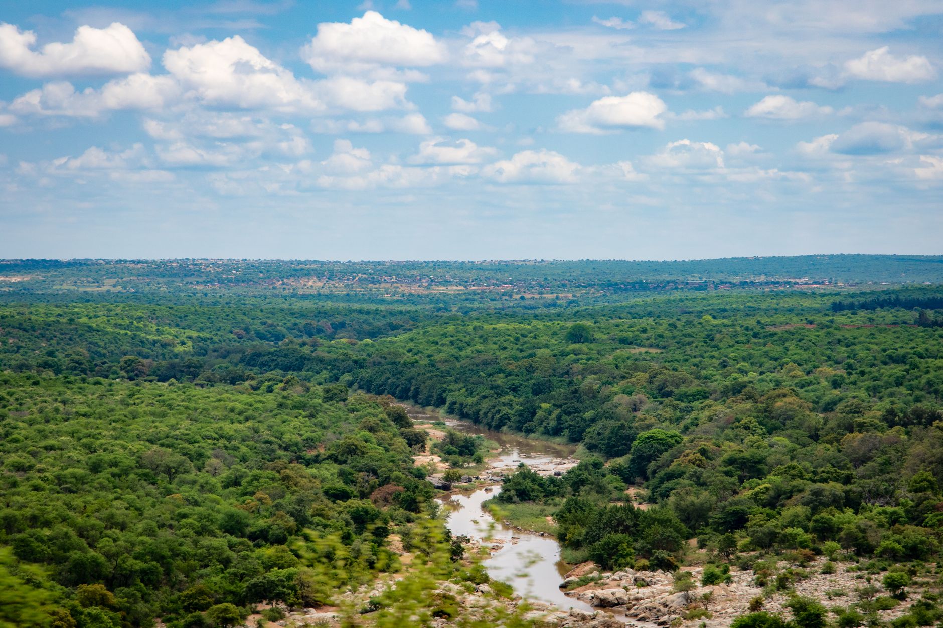 Aerial view of a lush green forest with a winding river under a cloudy blue sky.
