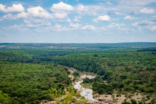 Free Aerial view of a lush green forest with a winding river under a cloudy blue sky. Stock Photo
