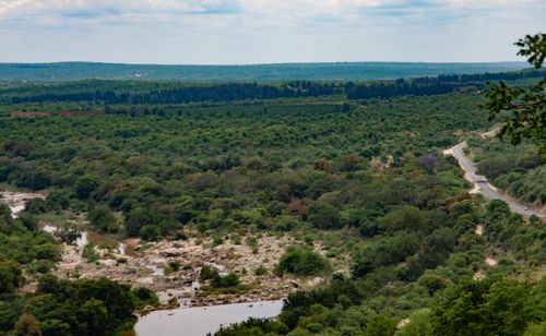 Free Aerial view of a lush forest landscape with winding road and river. Stock Photo