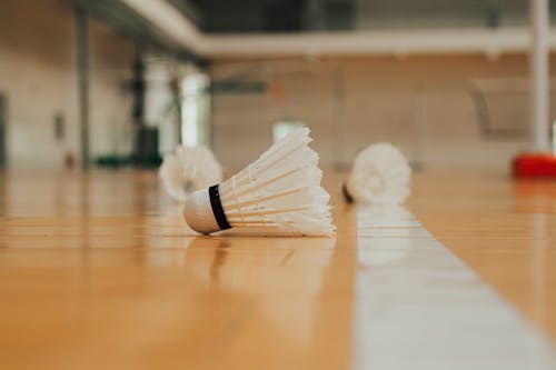 Gratis lagerfoto af afspejle, badminton, blødt fokus Lagerfoto