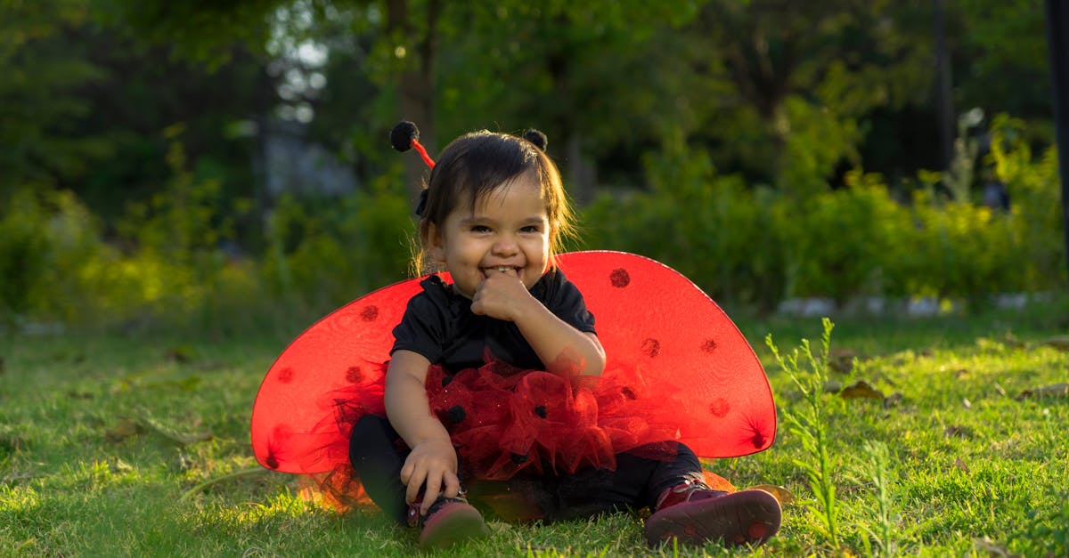 Comment prévenir l'obésité chez les chiens seniors