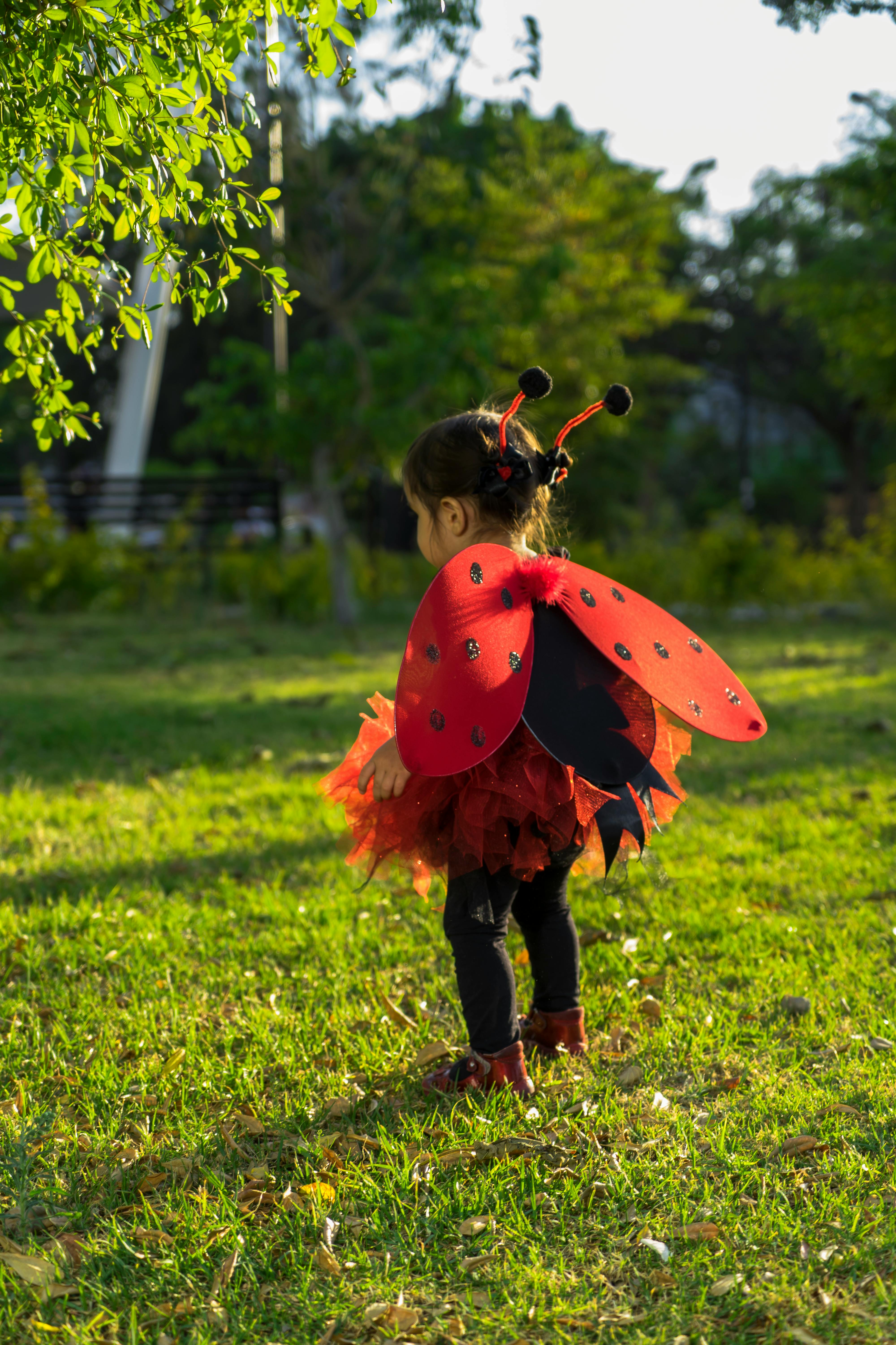 ladybug costume for teenager