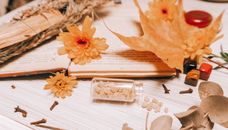 Orange Flower on White Book Page