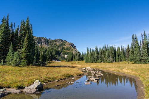 Бесплатное стоковое фото с болото, голубое небо, гора