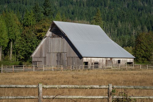 Gray Wooden Barn Near Green Trees