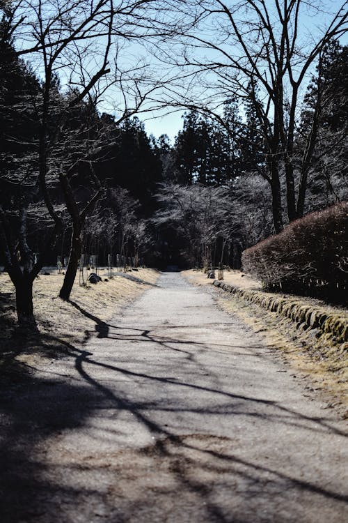 A Walkway at a Park in Nikko, Japan