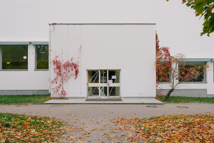 Modern Building With White Walls Located In City On Autumn Day