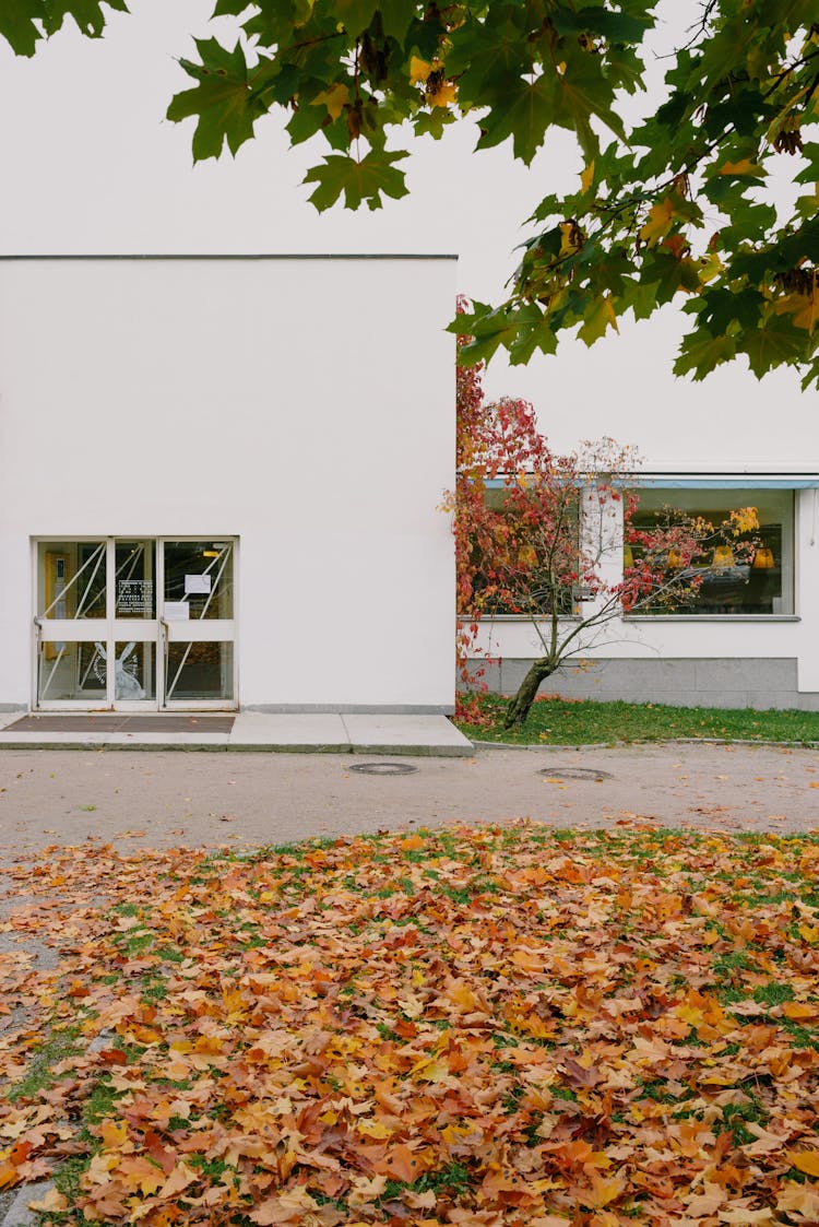 Corner Of Modern White Stone Building Located In Park On Autumn Day