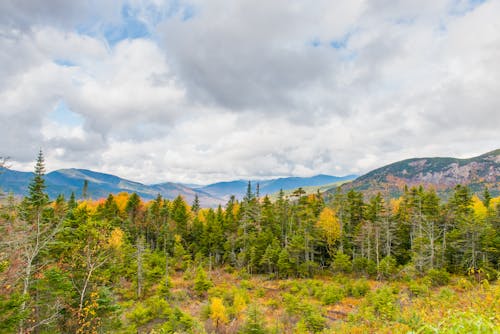 Photos gratuites de automne, collines, coloré