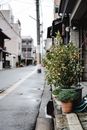 一场清爽的阵雨过后，东京安静的街道两旁摆放着盆栽植物，映衬出城市的宁静